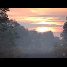 Morgennebel